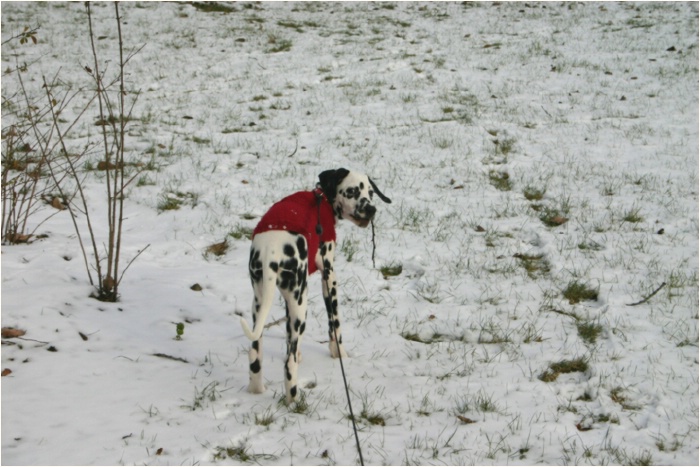 nicht anh�ngen Mami, das ist doch die Gipsy!